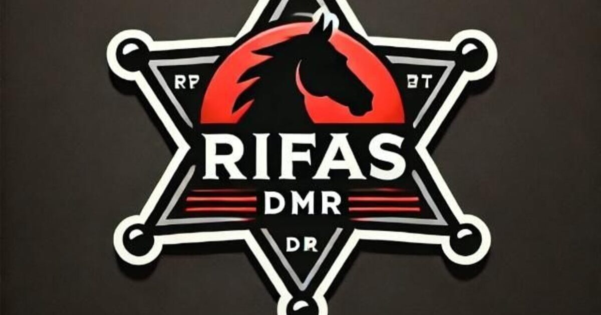 DMR - Rifas